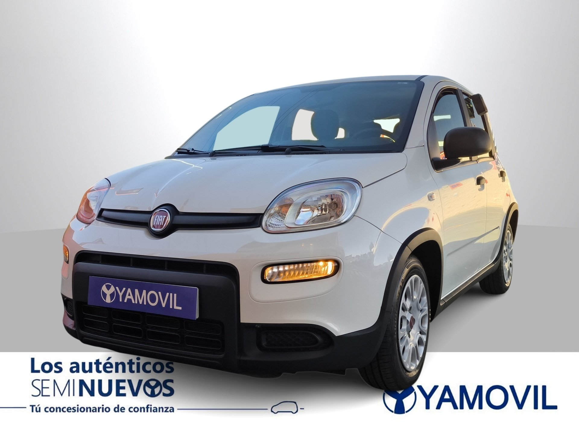 Imagen 1