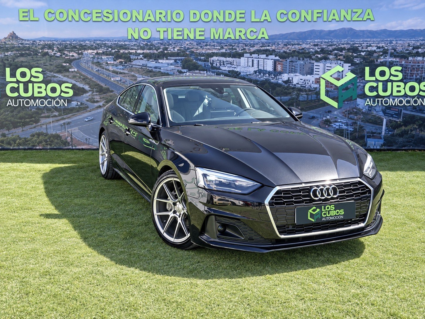 Imagen 1